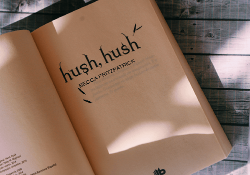 Resumen de Hush, Hush Cuarta Parte
