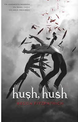 Resumen de Hush, Hush Segunda Parte